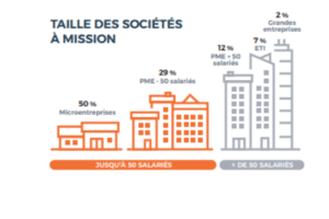 Taille des sociétés